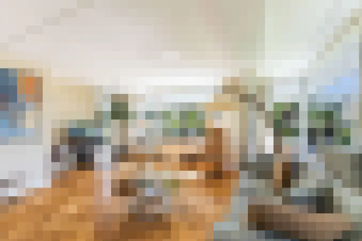 Vrijthofflaan 27 Numansdorp thumbnail 10
