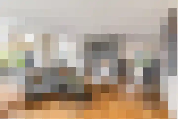 Vrijthofflaan 27 Numansdorp thumbnail 11