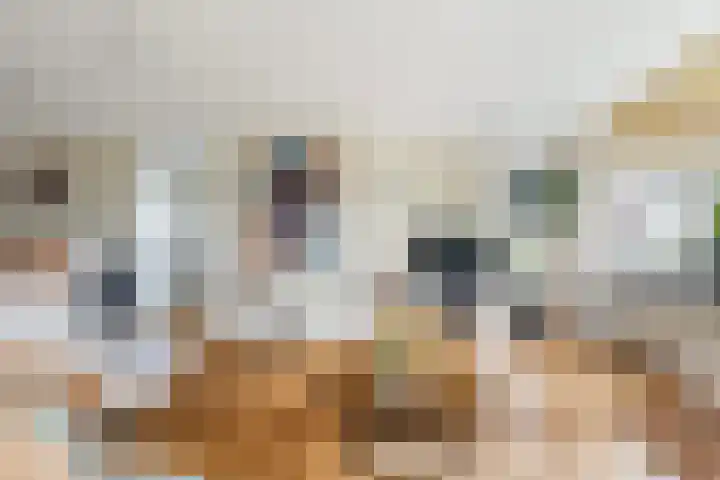 Vrijthofflaan 27 Numansdorp thumbnail 12