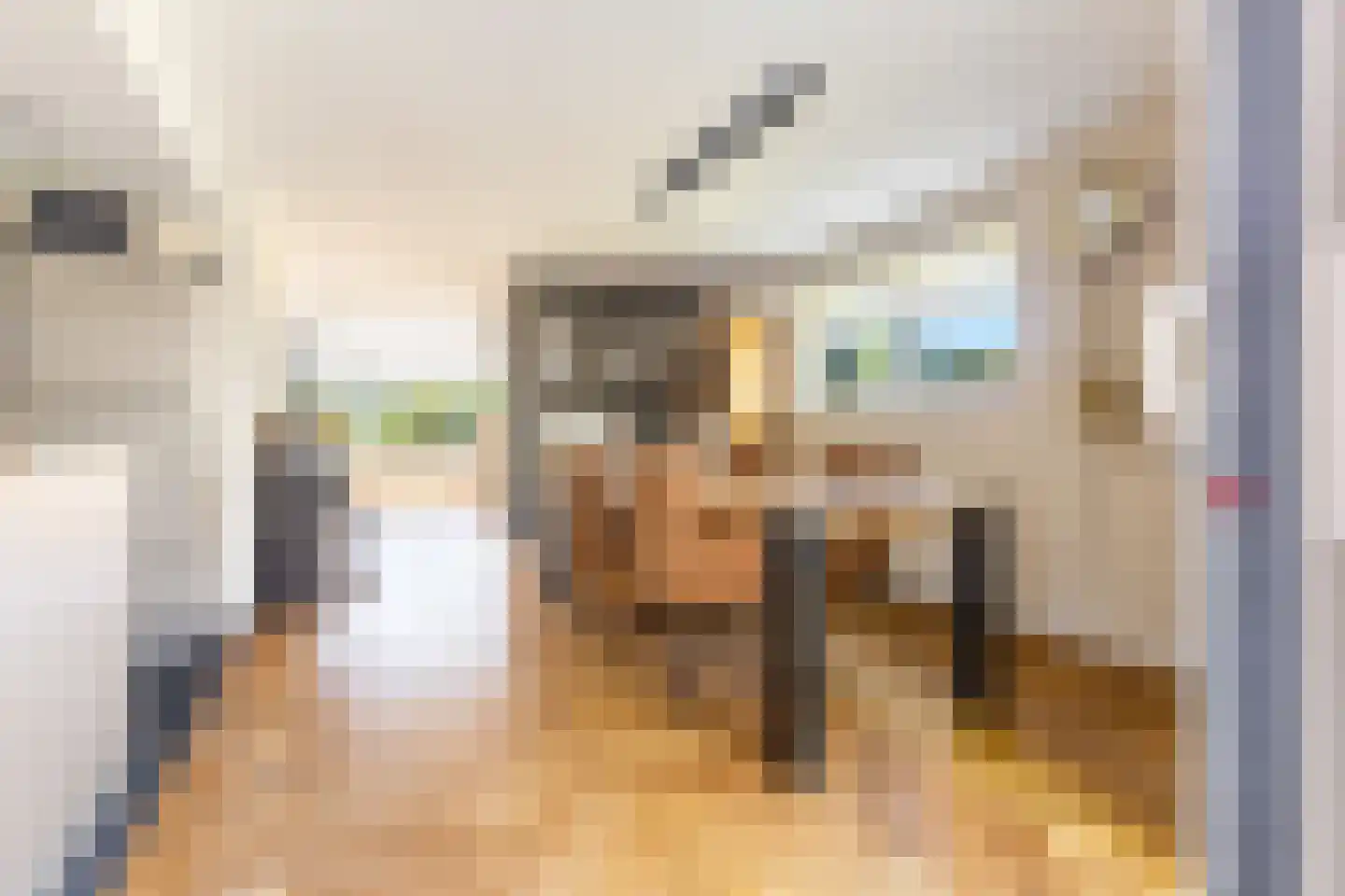 Vrijthofflaan 27 Numansdorp thumbnail 13