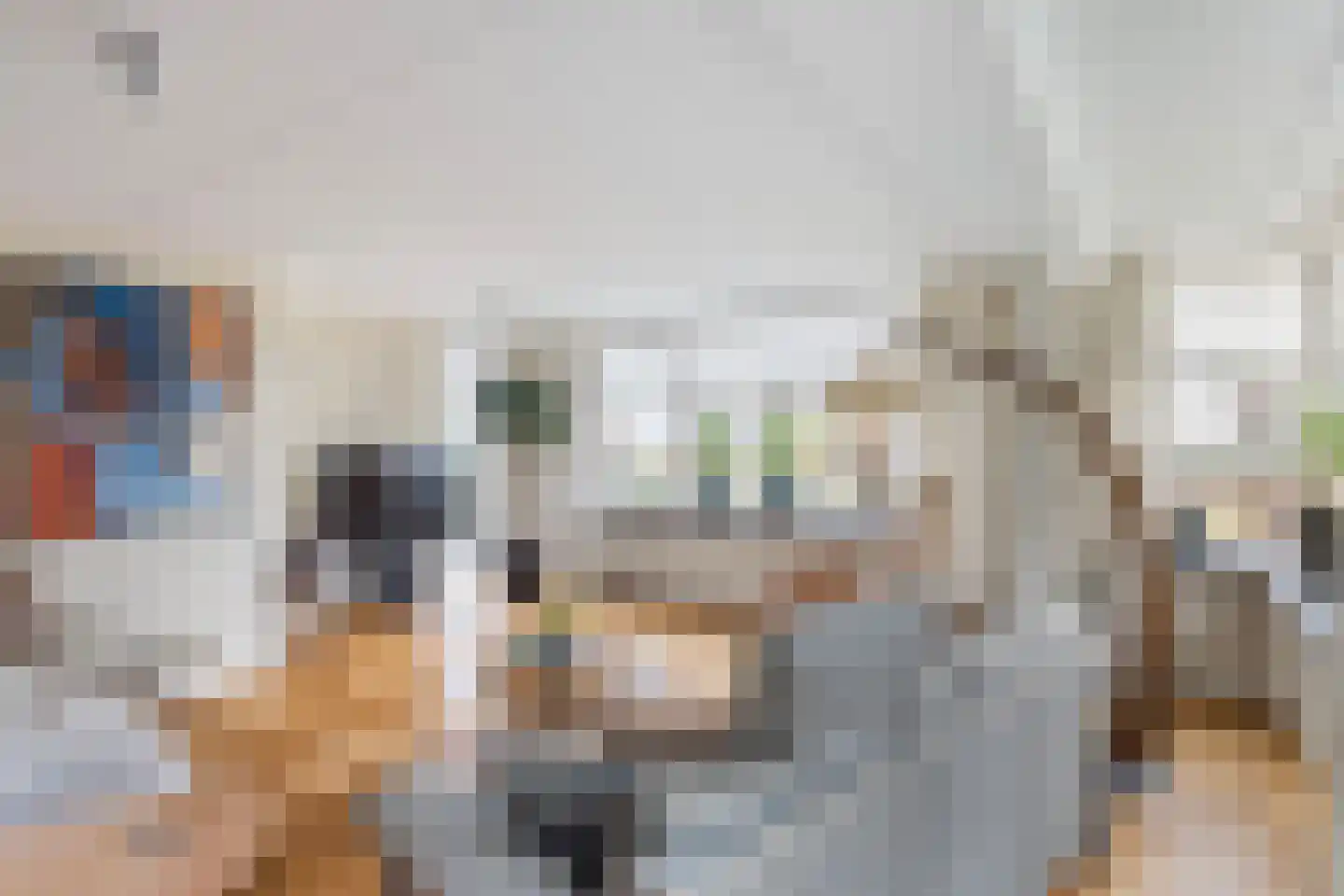 Vrijthofflaan 27 Numansdorp thumbnail 13