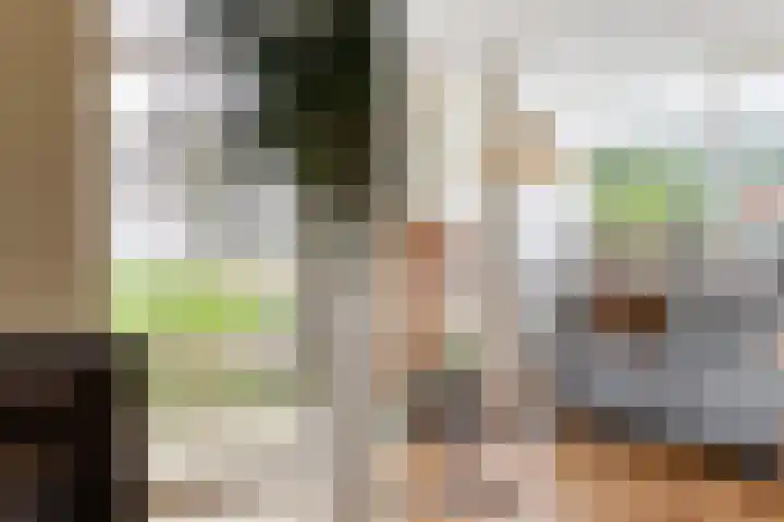Vrijthofflaan 27 Numansdorp thumbnail 14