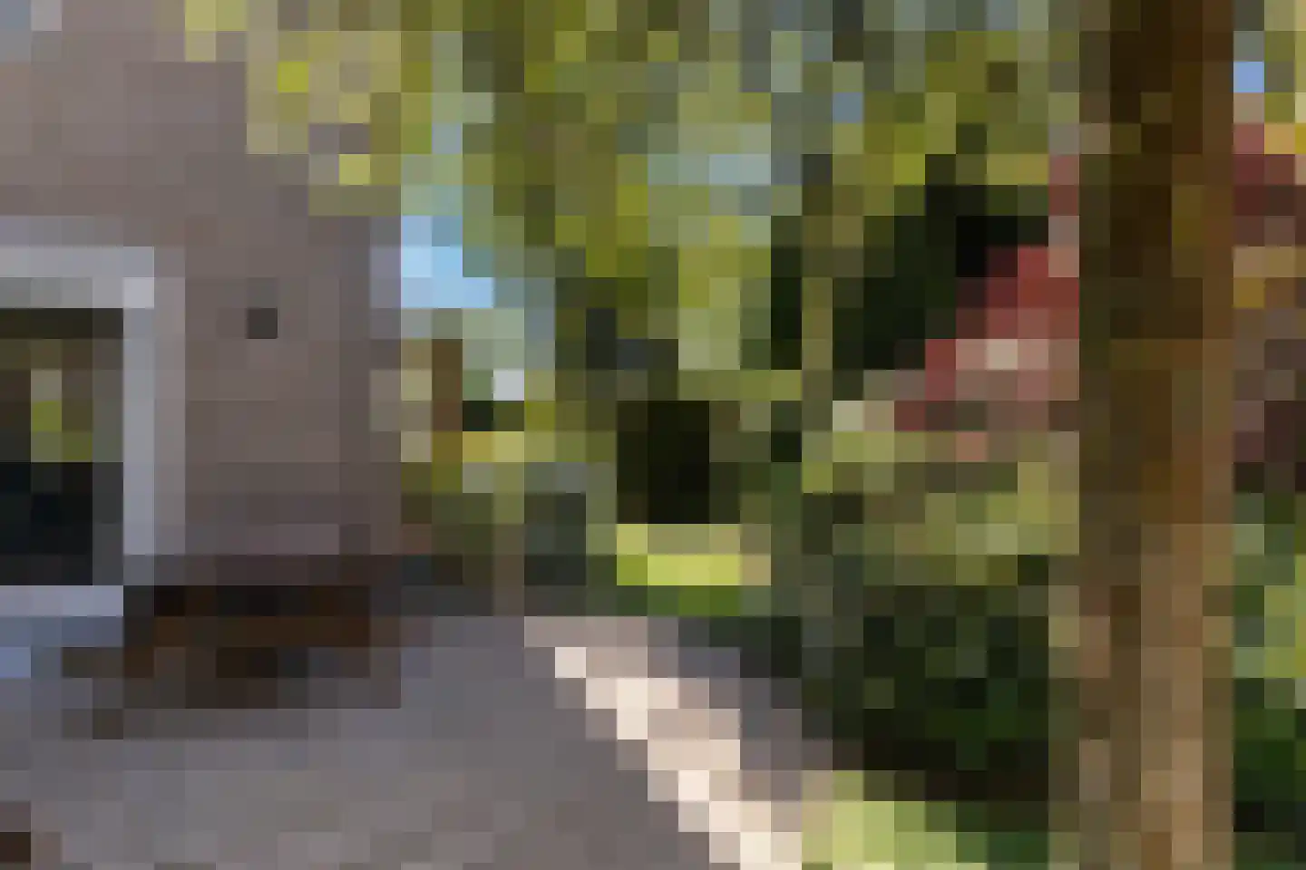 Vrijthofflaan 27 Numansdorp thumbnail 36