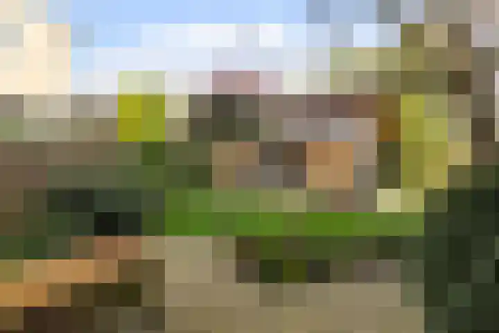 Vrijthofflaan 27 Numansdorp thumbnail 41