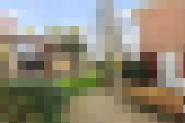Vrijthofflaan 27 Numansdorp thumbnail 42