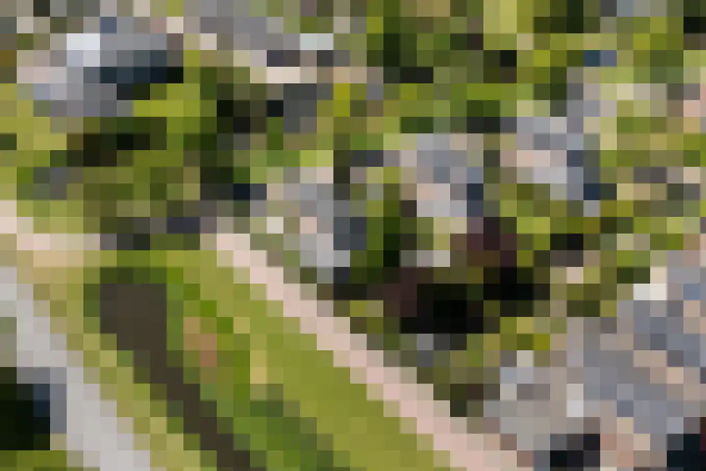 Vrijthofflaan 27 Numansdorp thumbnail 42