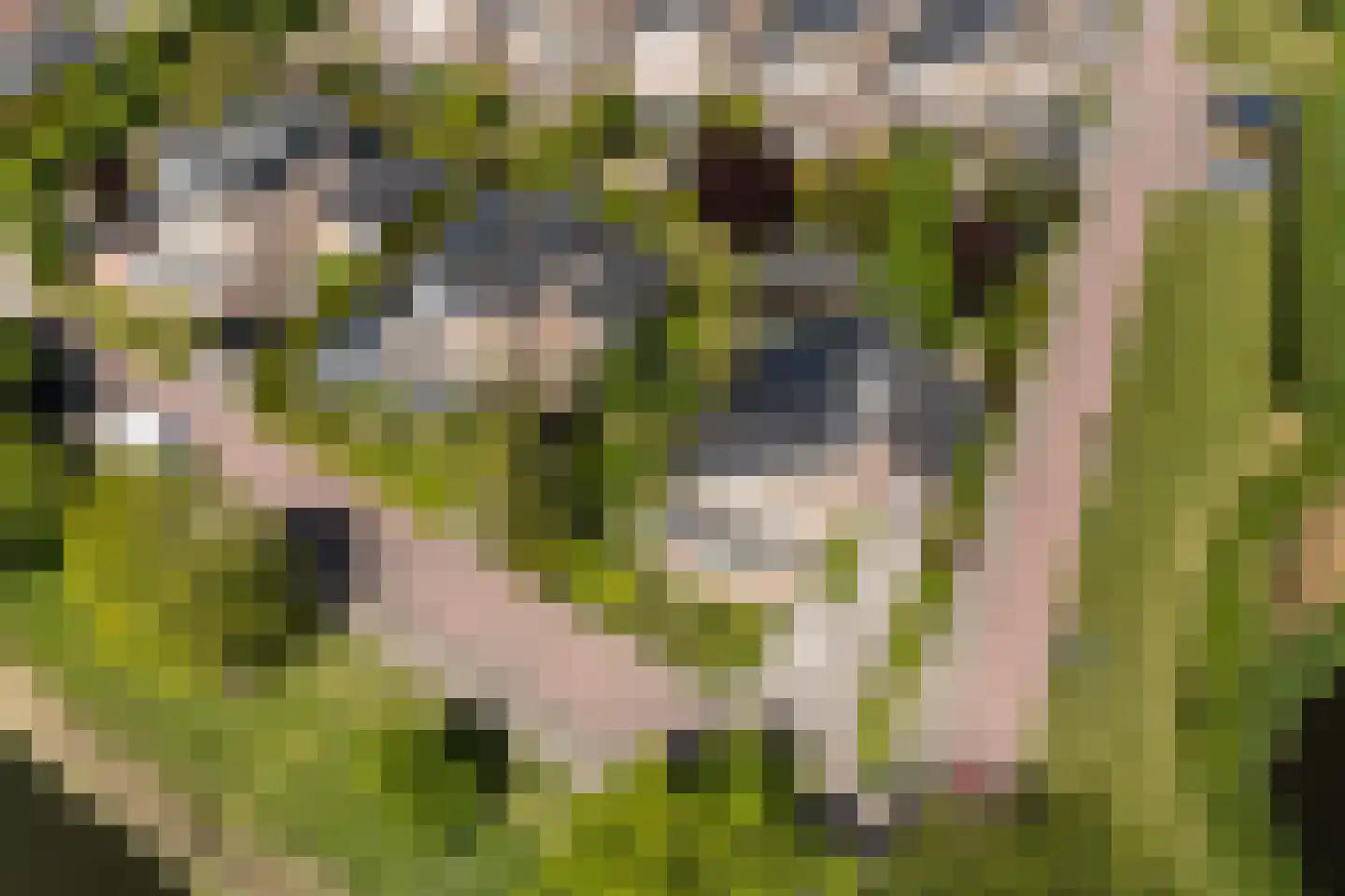 Vrijthofflaan 27 Numansdorp thumbnail 43