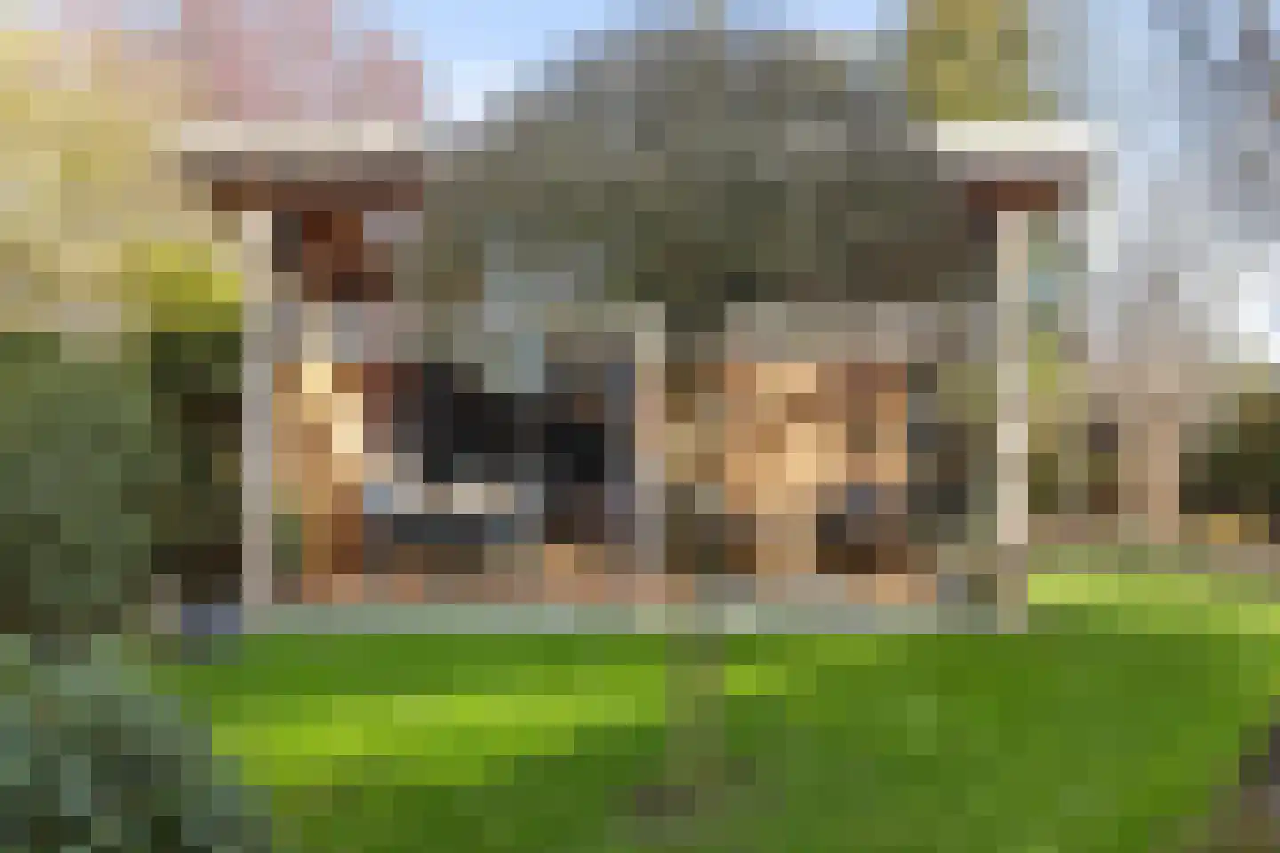 Vrijthofflaan 27 Numansdorp thumbnail 43