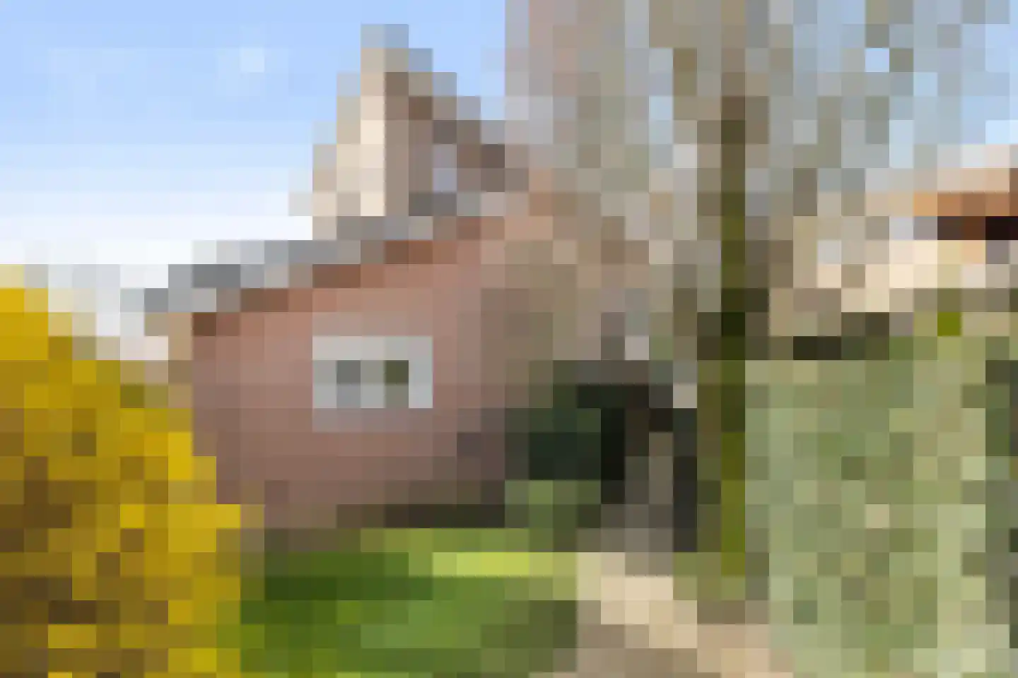 Vrijthofflaan 27 Numansdorp thumbnail 48
