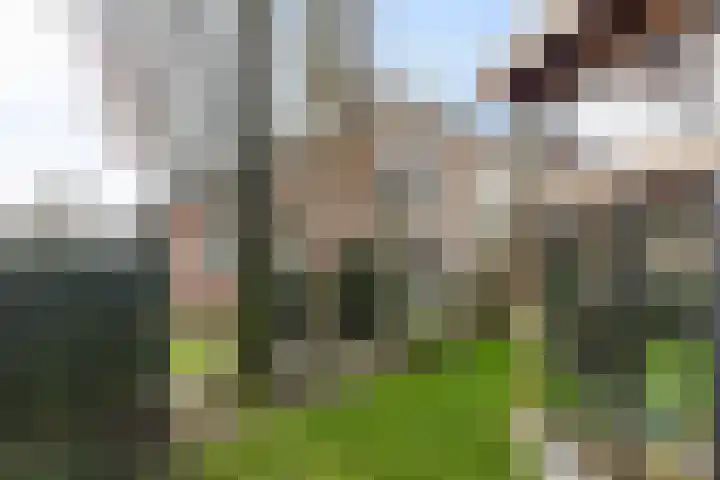 Vrijthofflaan 27 Numansdorp thumbnail 49