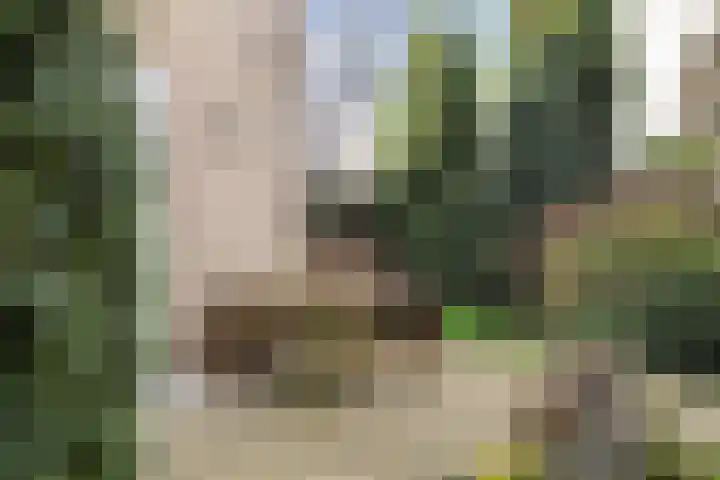 Vrijthofflaan 27 Numansdorp thumbnail 50