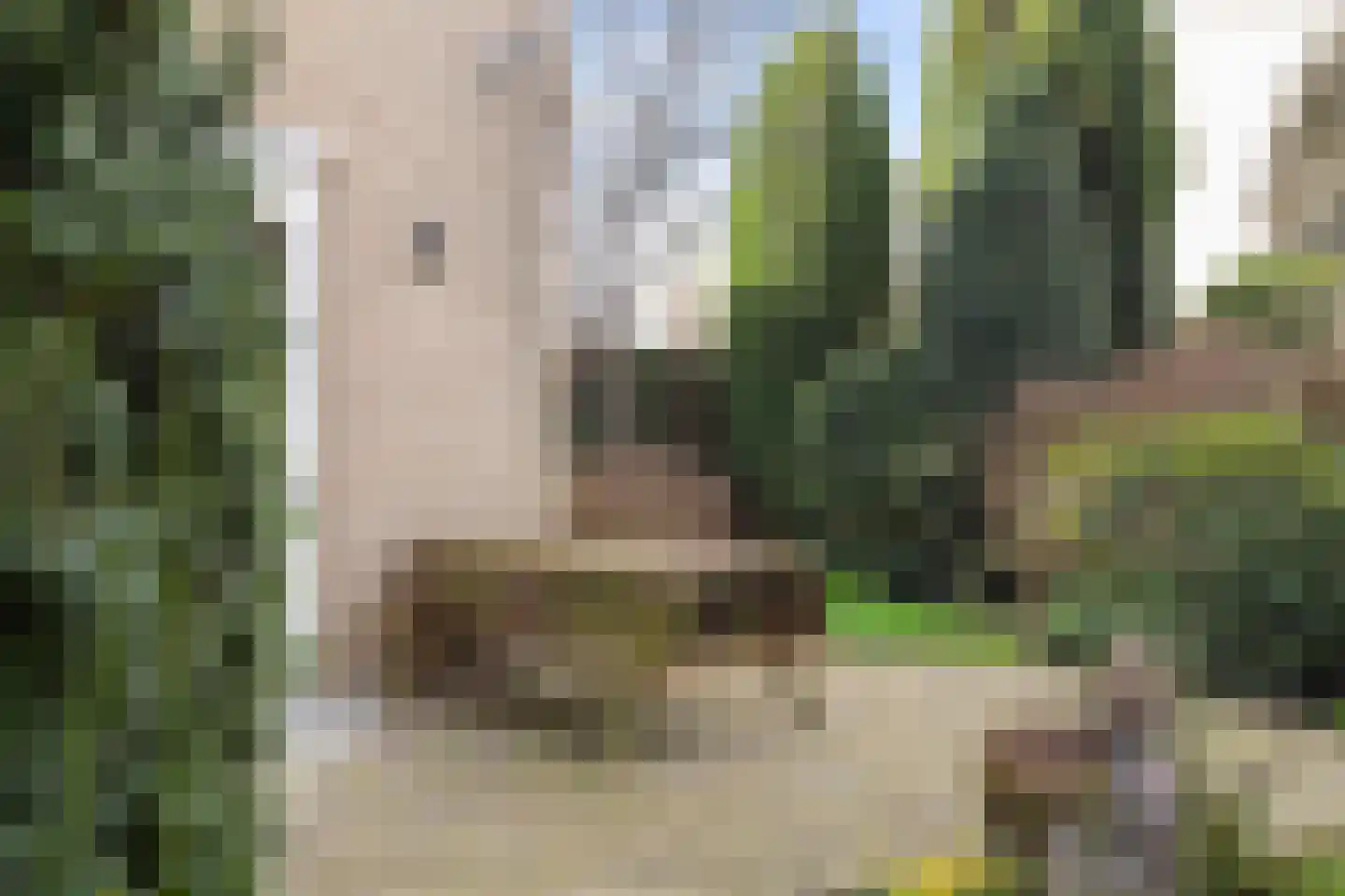 Vrijthofflaan 27 Numansdorp thumbnail 50