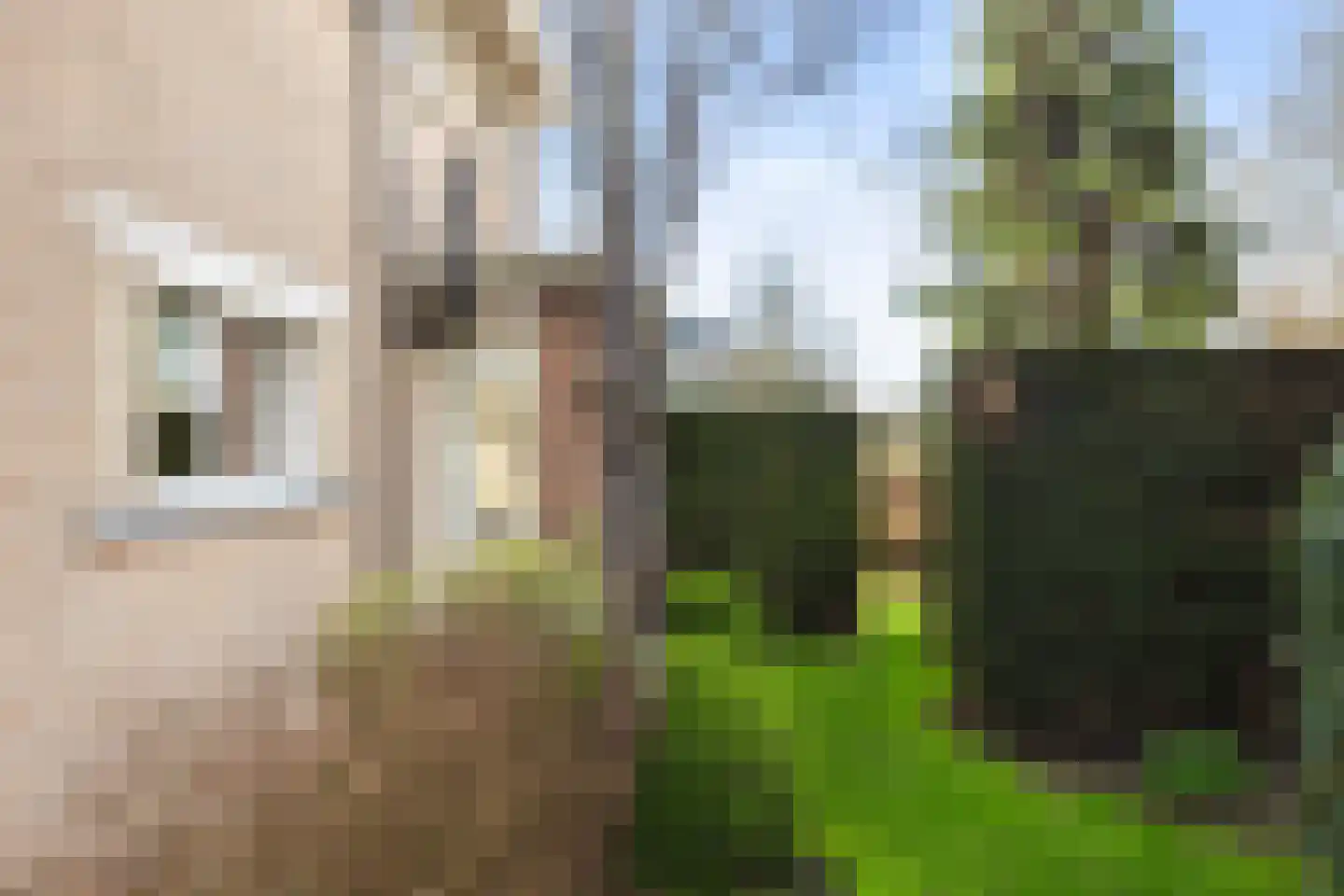 Vrijthofflaan 27 Numansdorp thumbnail 51