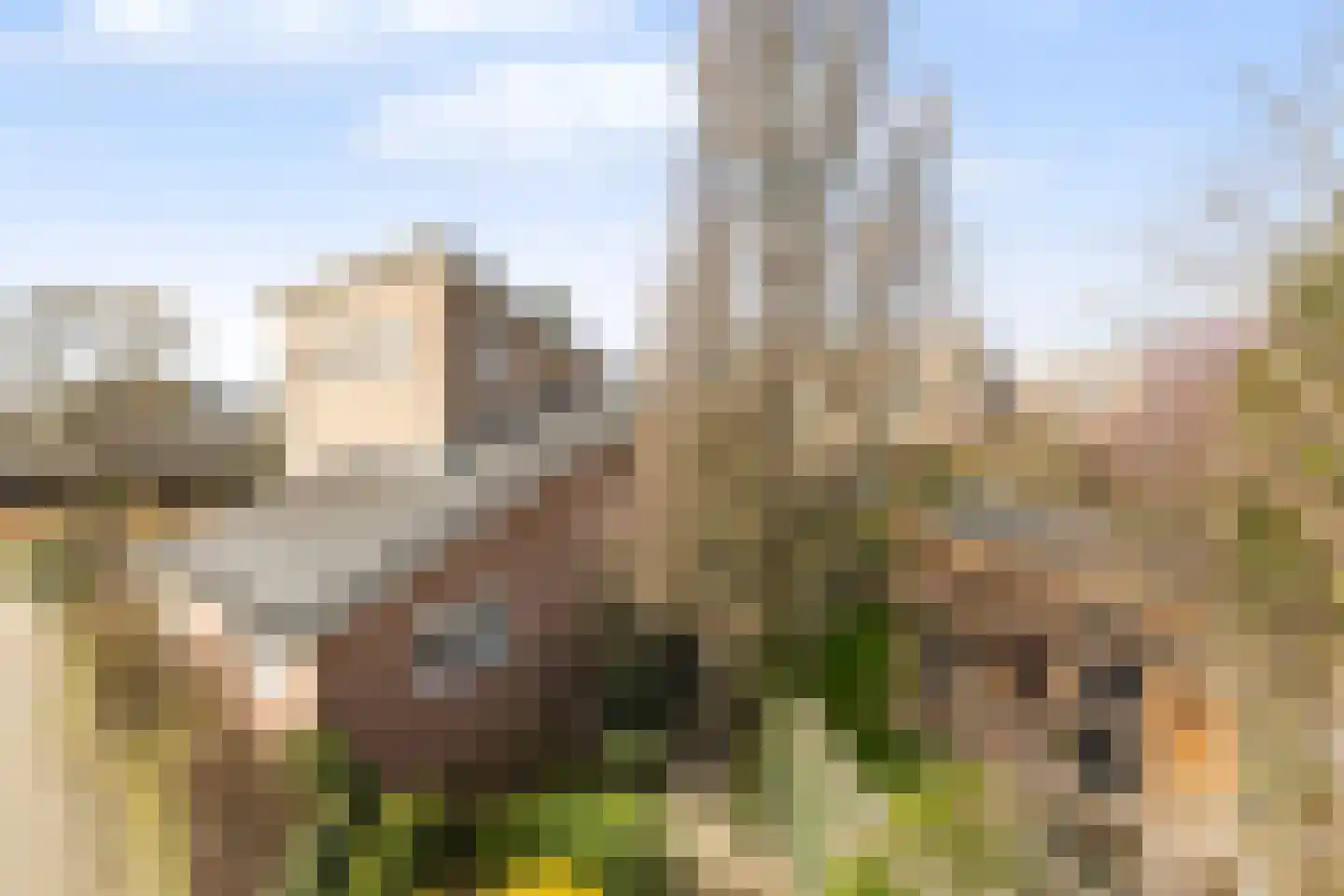 Vrijthofflaan 27 Numansdorp thumbnail 52