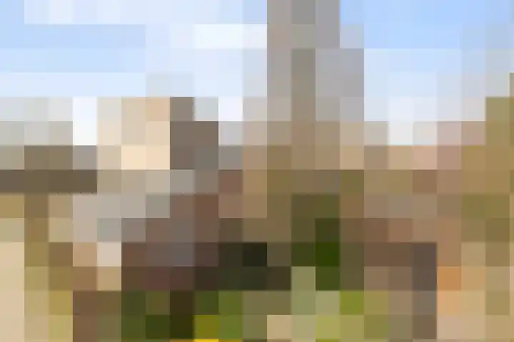 Vrijthofflaan 27 Numansdorp thumbnail 52