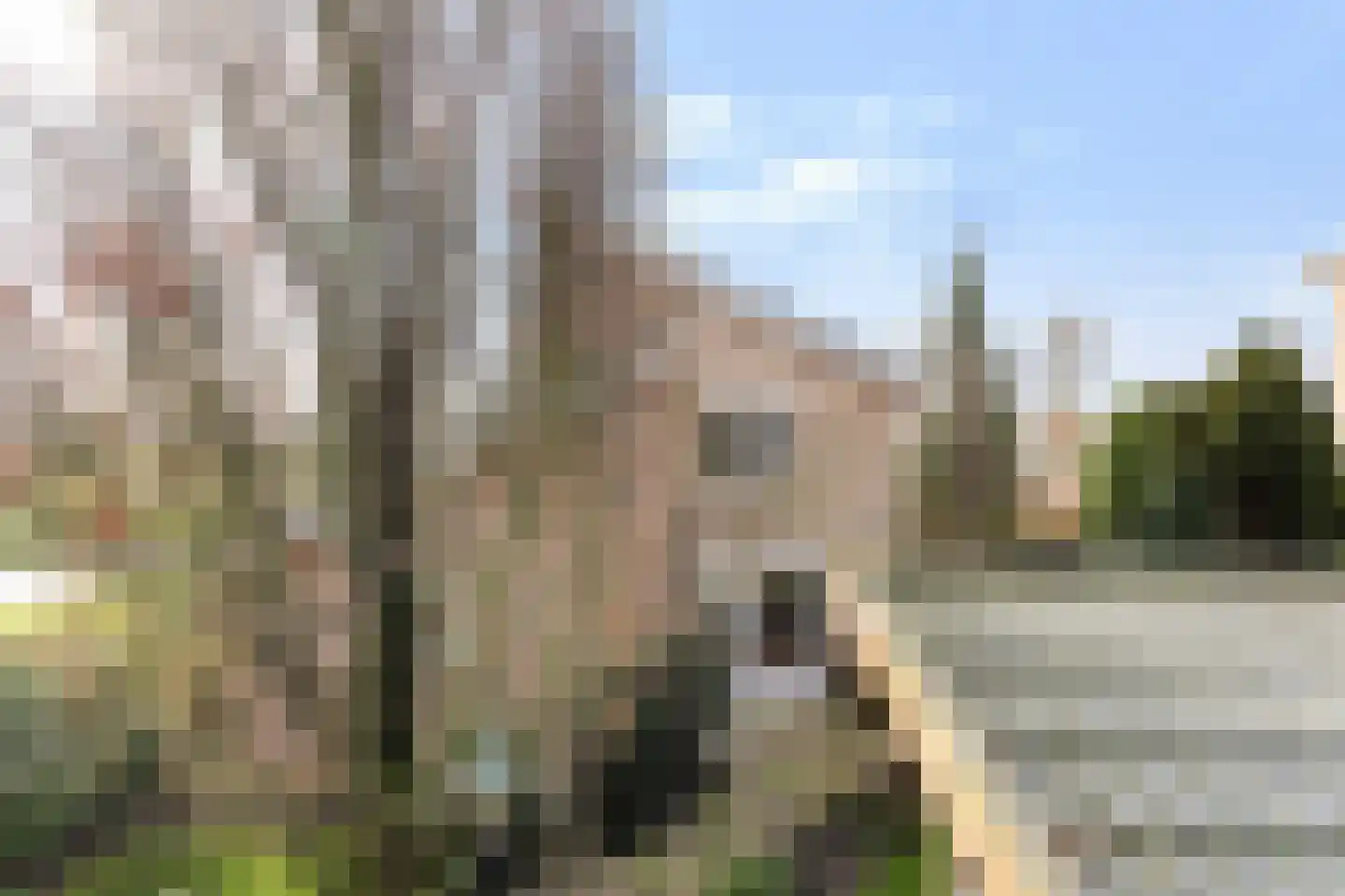 Vrijthofflaan 27 Numansdorp thumbnail 53