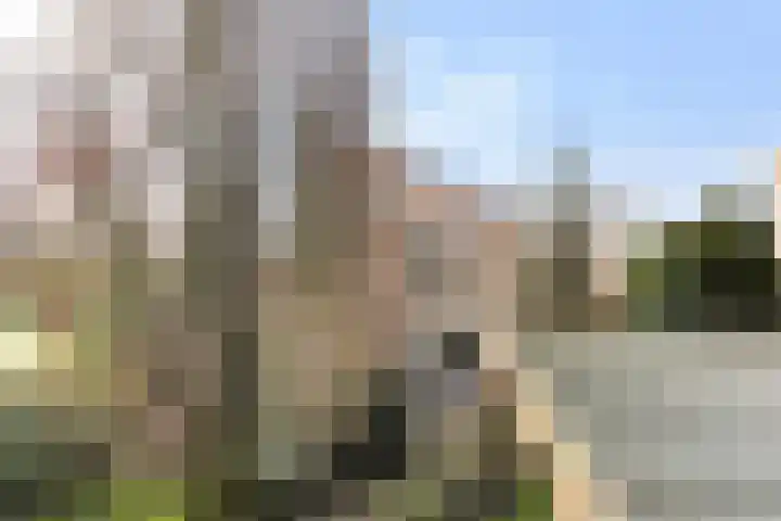 Vrijthofflaan 27 Numansdorp thumbnail 53