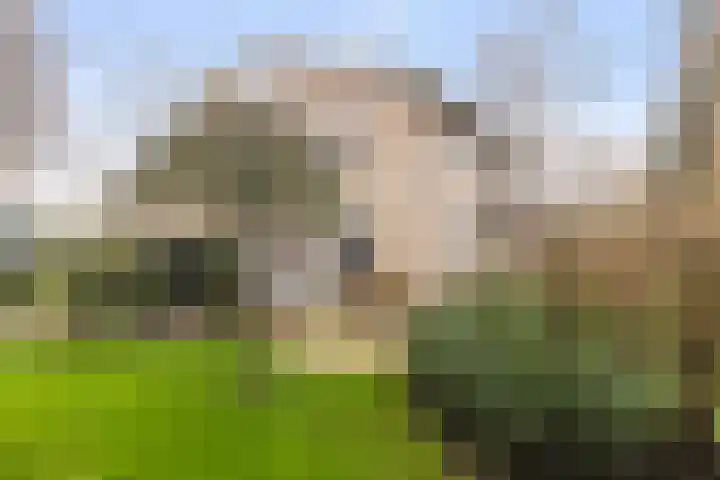 Vrijthofflaan 27 Numansdorp thumbnail 54