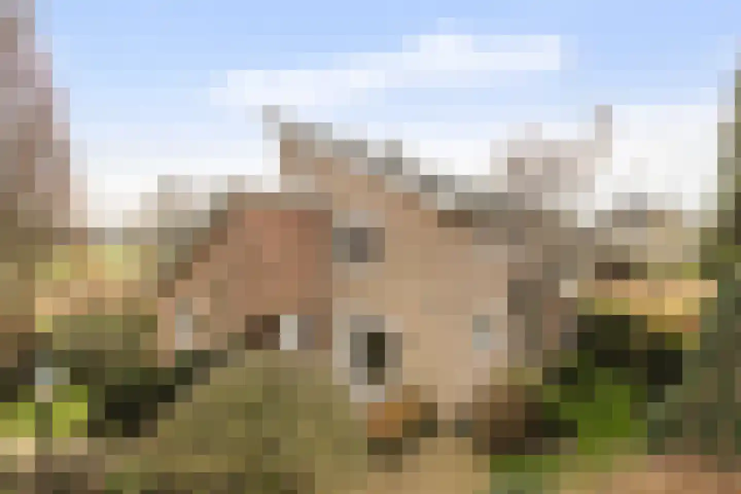 Vrijthofflaan 27 Numansdorp thumbnail 55