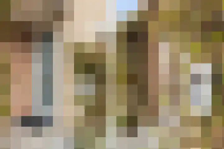 Vrijthofflaan 27 Numansdorp thumbnail 6