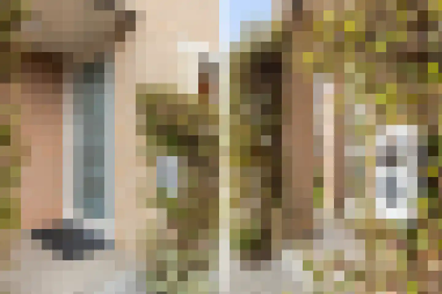 Vrijthofflaan 27 Numansdorp thumbnail 6