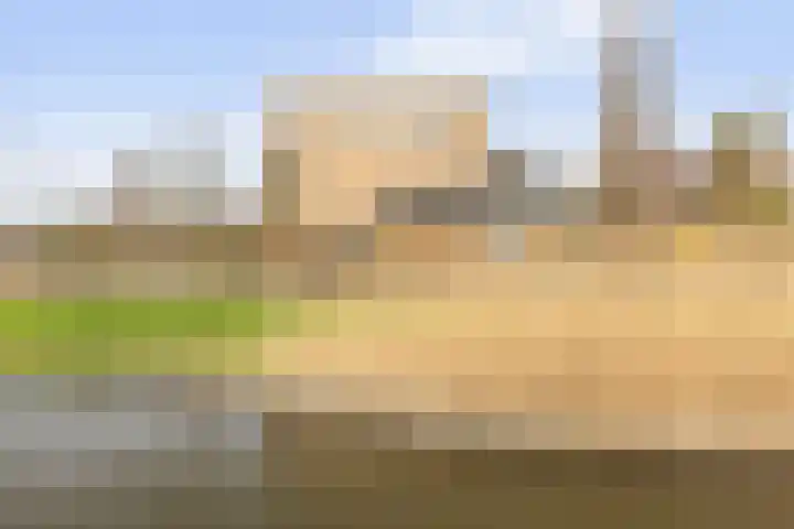Vrijthofflaan 27 Numansdorp thumbnail 60