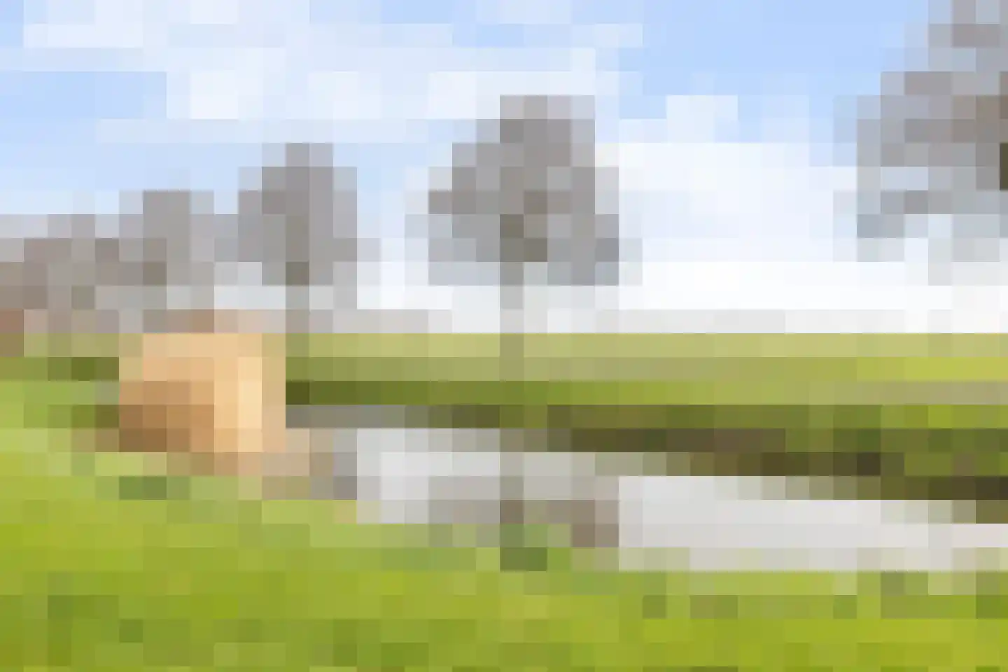 Vrijthofflaan 27 Numansdorp thumbnail 61