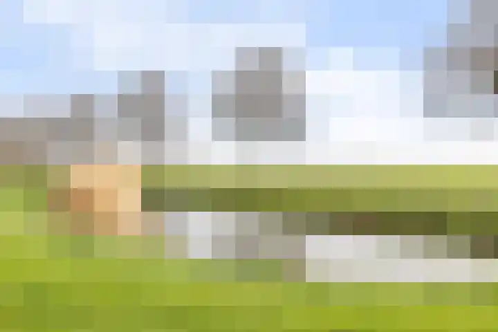 Vrijthofflaan 27 Numansdorp thumbnail 61