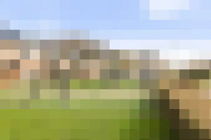 Vrijthofflaan 27 Numansdorp thumbnail 62