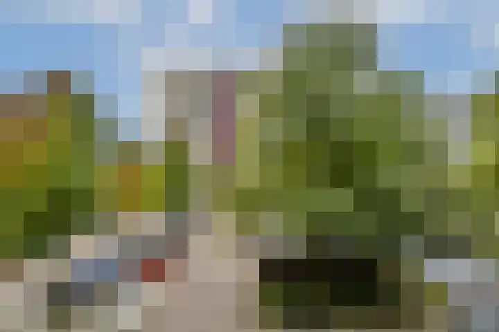 Vrijzicht 128 Amsterdam thumbnail 10
