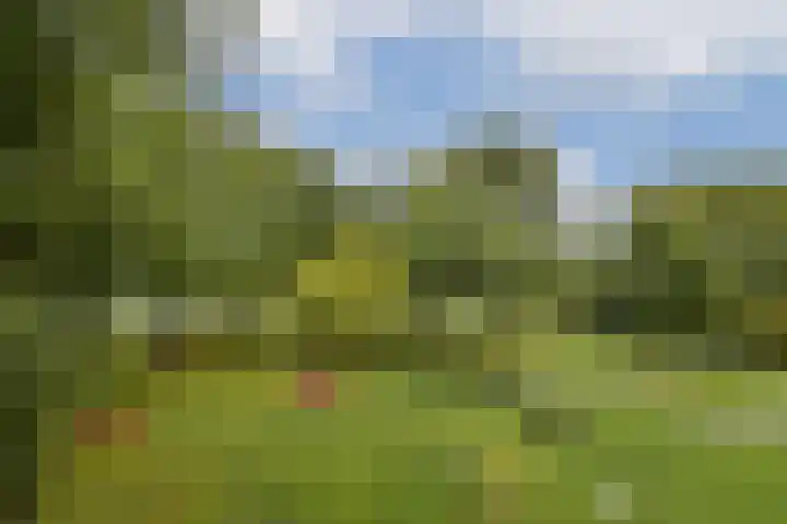 Vrijzicht 128 Amsterdam thumbnail 14