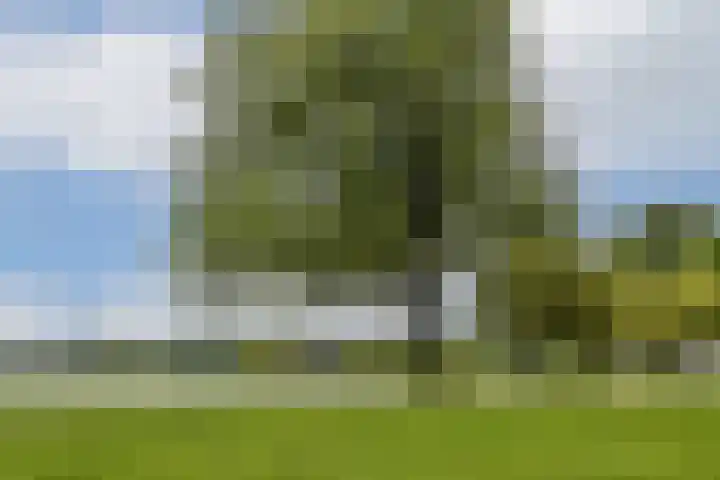 Vrijzicht 128 Amsterdam thumbnail 19