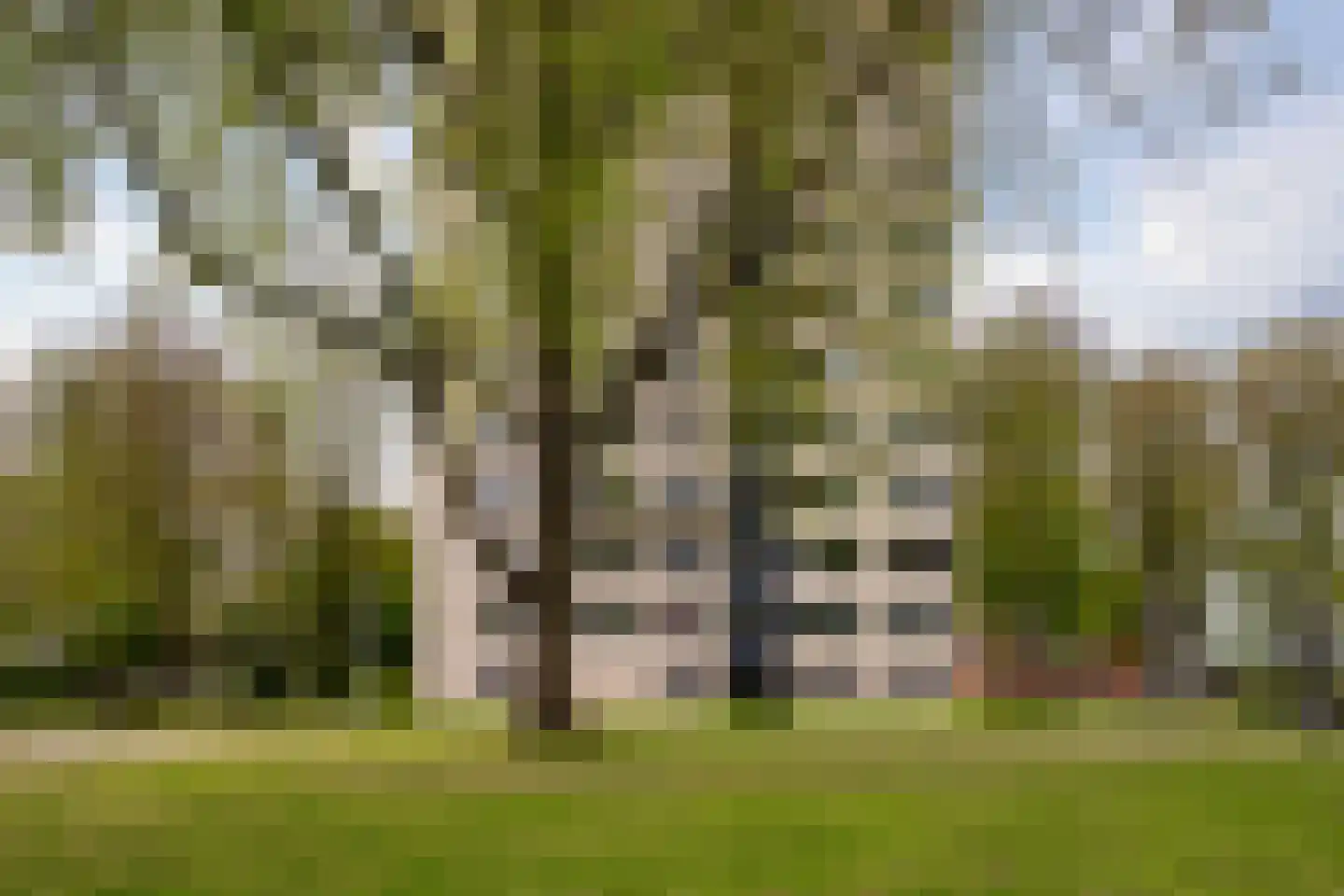 Vrijzicht 132 Amsterdam thumbnail 22