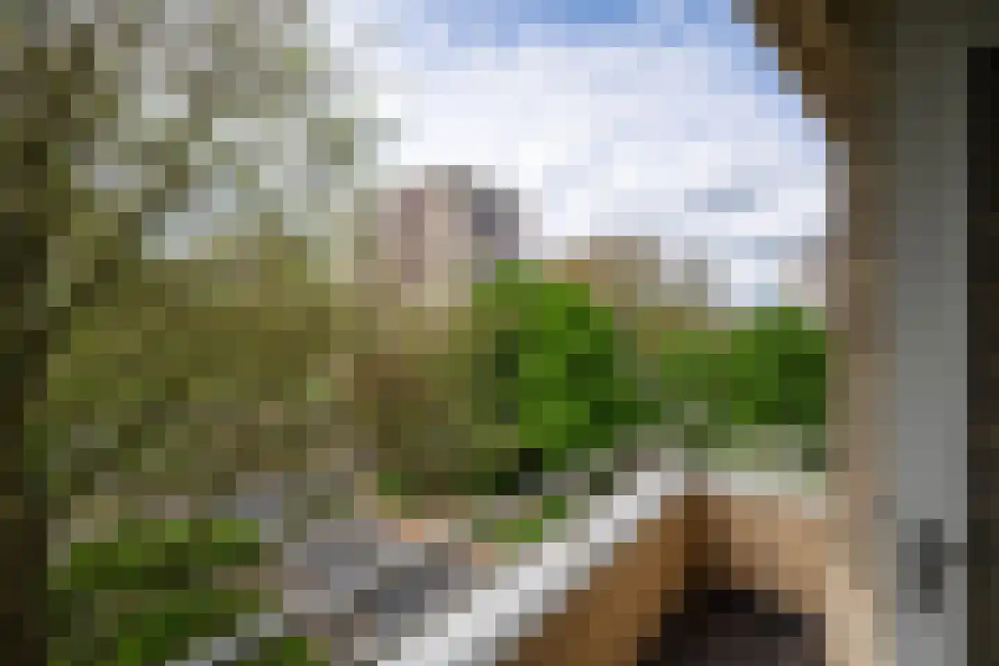 Vrijzicht 132 Amsterdam thumbnail 8