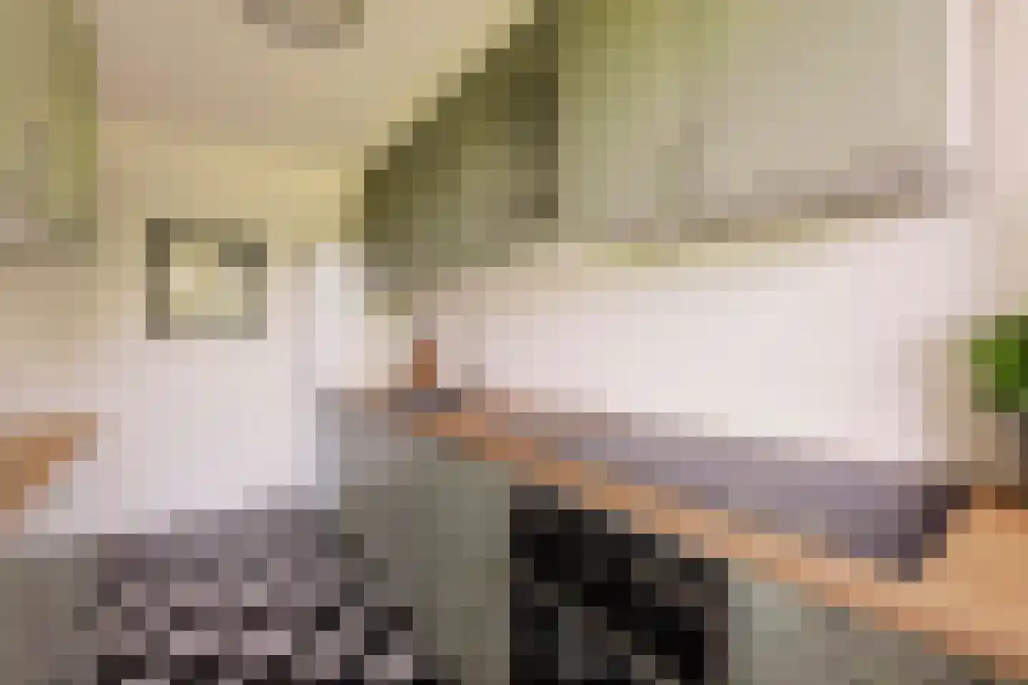 Vrijzicht 147 Amsterdam thumbnail 17