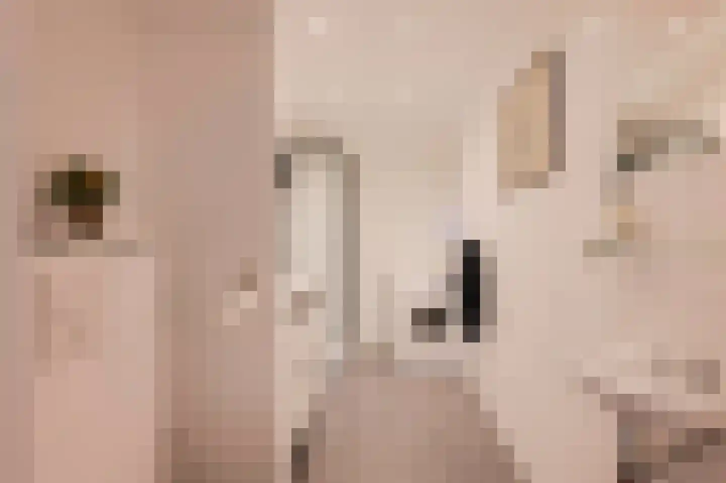 Vrijzicht 147 Amsterdam thumbnail 18