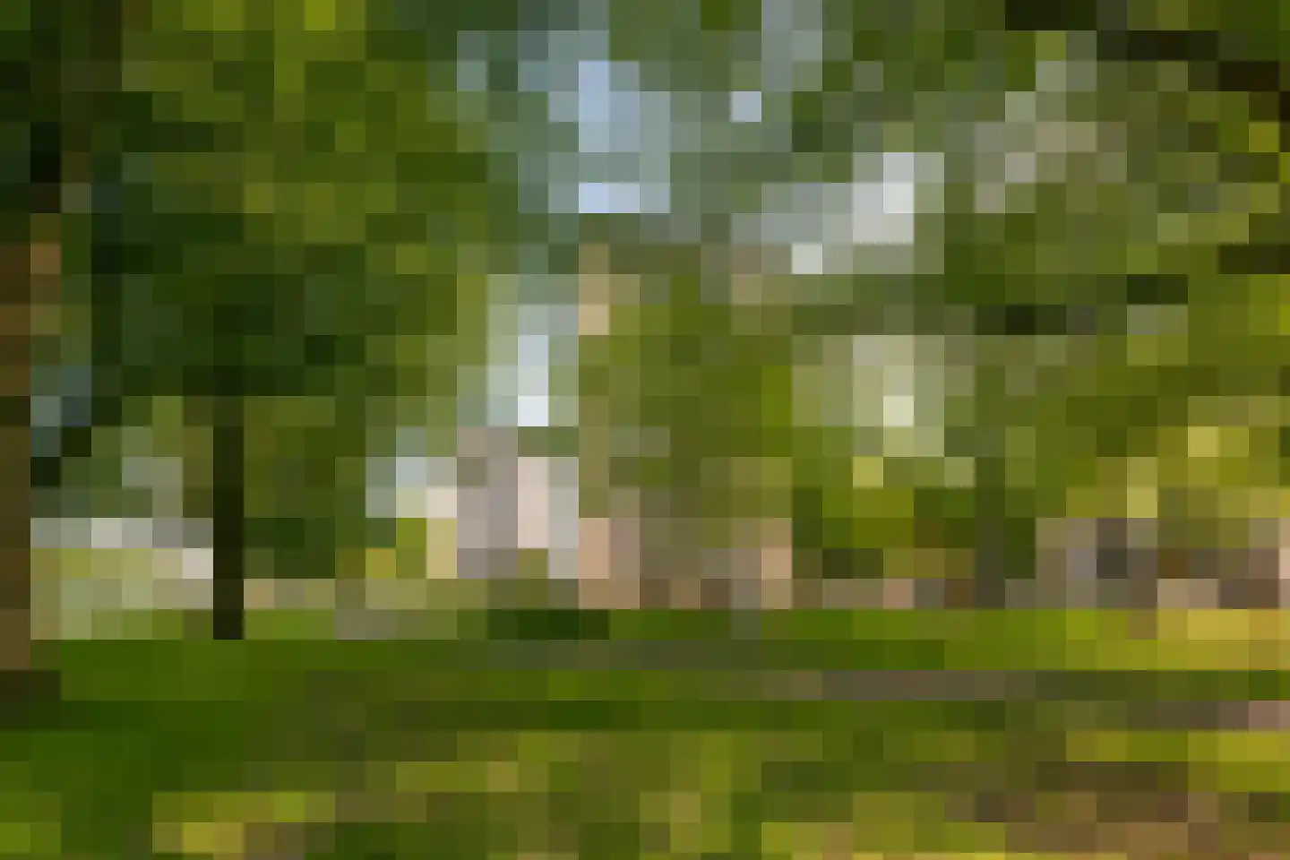 Vrijzicht 147 Amsterdam thumbnail 31