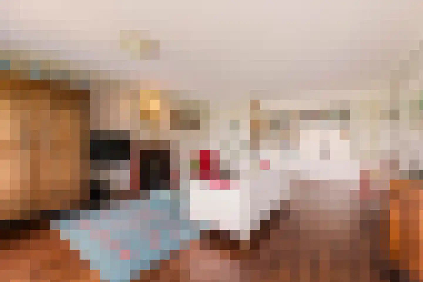 Vrijzicht 147 Amsterdam thumbnail 4