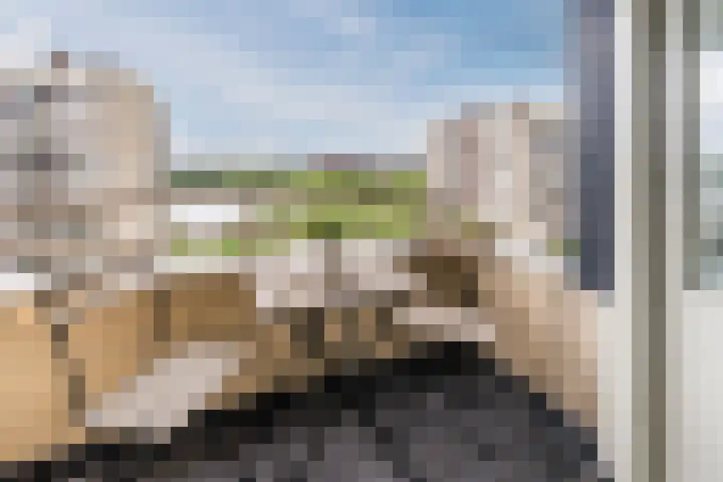 Vrijzicht 161 Amsterdam thumbnail 19
