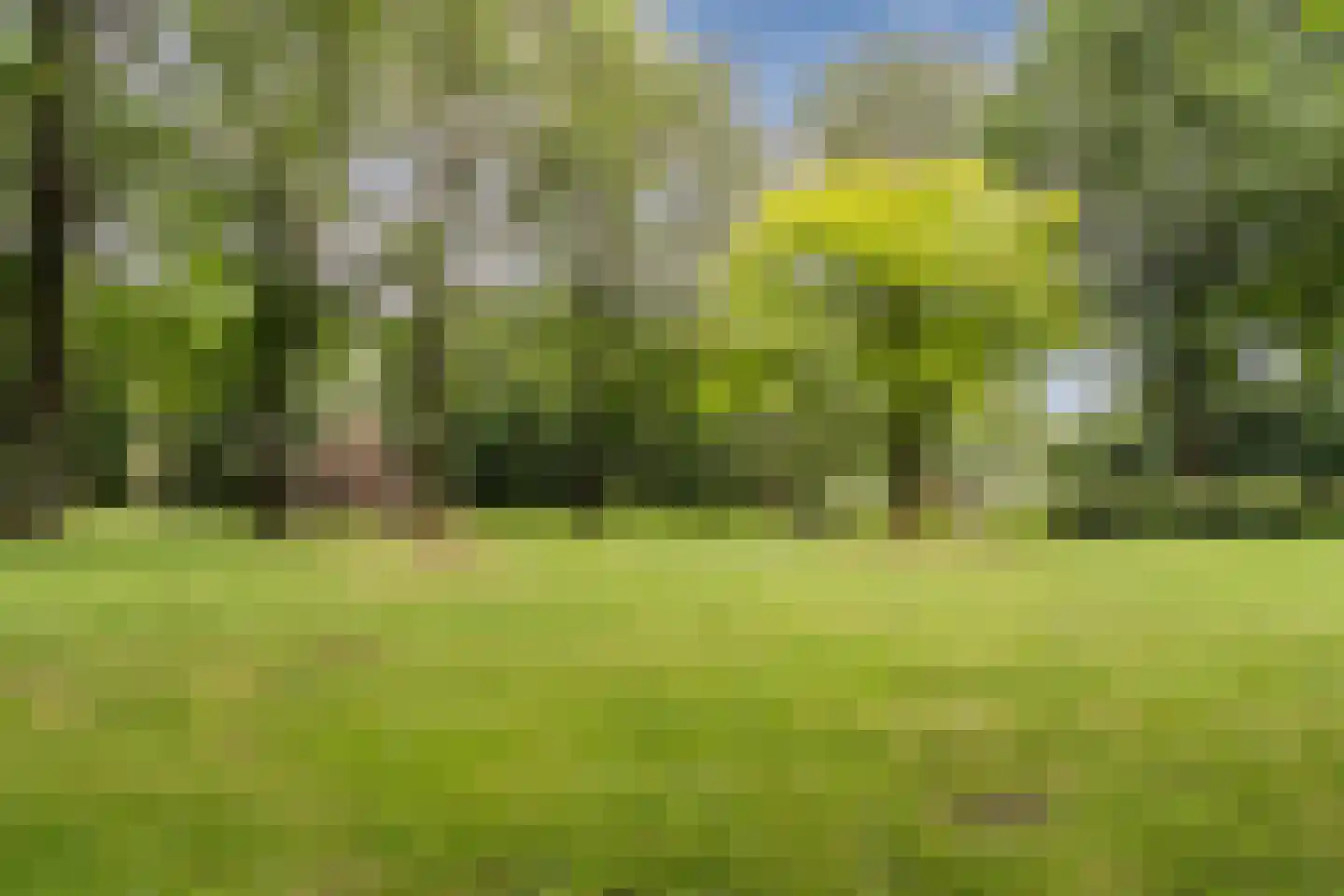 Vrijzicht 161 Amsterdam thumbnail 59