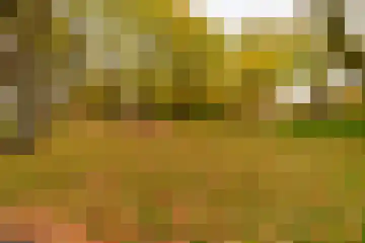Vrijzicht 182 Amsterdam thumbnail 31