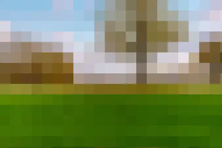 Vrijzicht 182 Amsterdam thumbnail 33