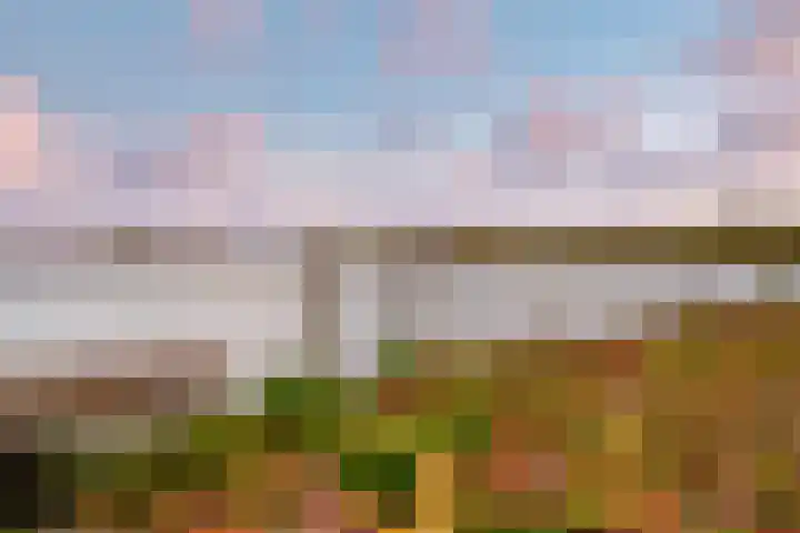 Vrijzicht 182 Amsterdam thumbnail 35