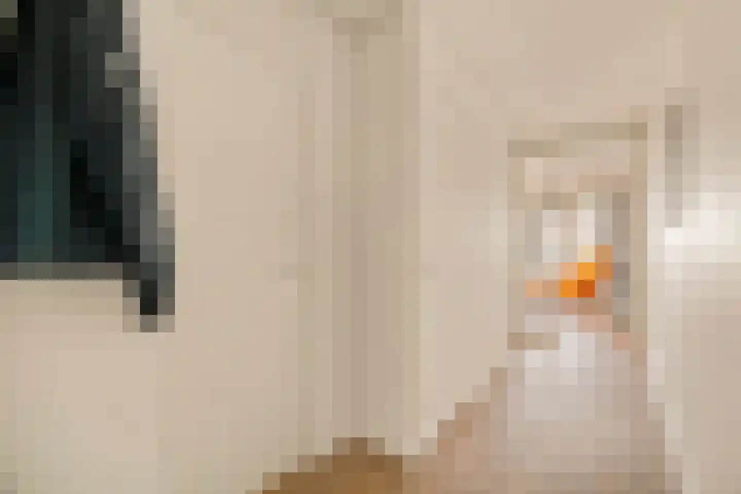 Vrijzicht 183 Amsterdam thumbnail 17