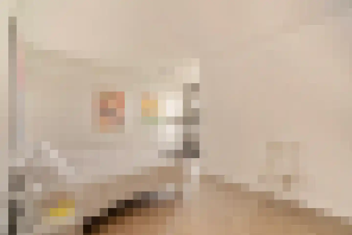 Vrijzicht 183 Amsterdam thumbnail 19