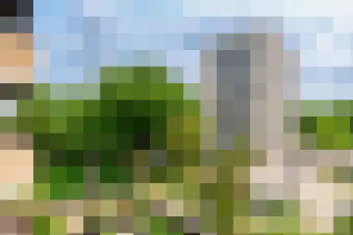 Vrijzicht 47 Amsterdam thumbnail 11