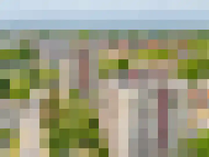 Vrijzicht 47 Amsterdam thumbnail 12