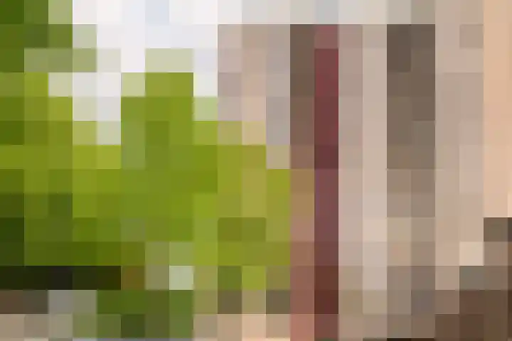Vrijzicht 47 Amsterdam thumbnail 27