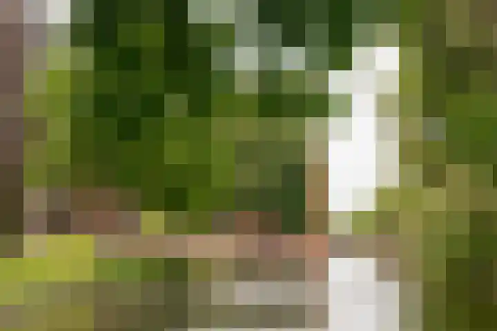 Vrijzicht 47 Amsterdam thumbnail 31