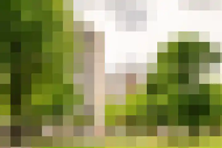Vrijzicht 47 Amsterdam thumbnail 32